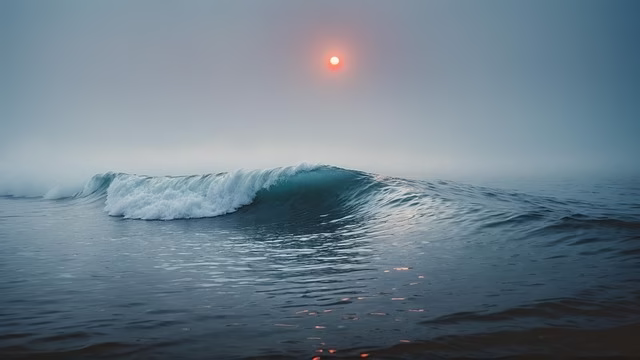 AI写论文洞察精选